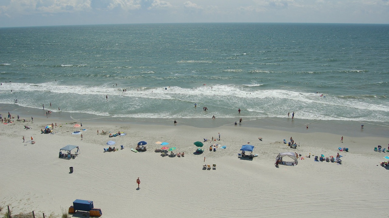 Photo of Others in Crescent Beach