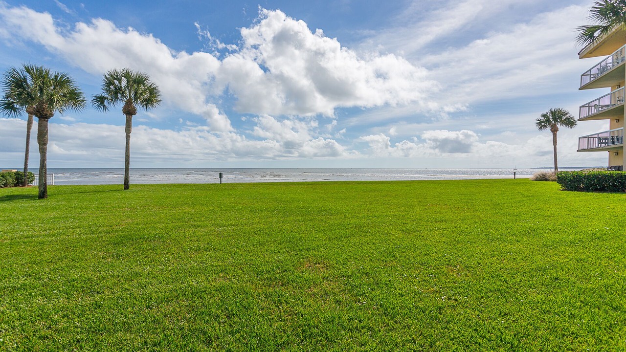 Photo of Others in Saint Simons Island