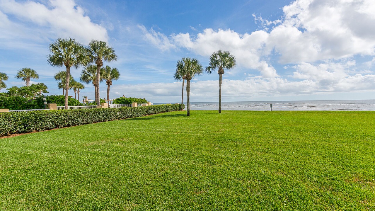 Photo of Others in Saint Simons Island