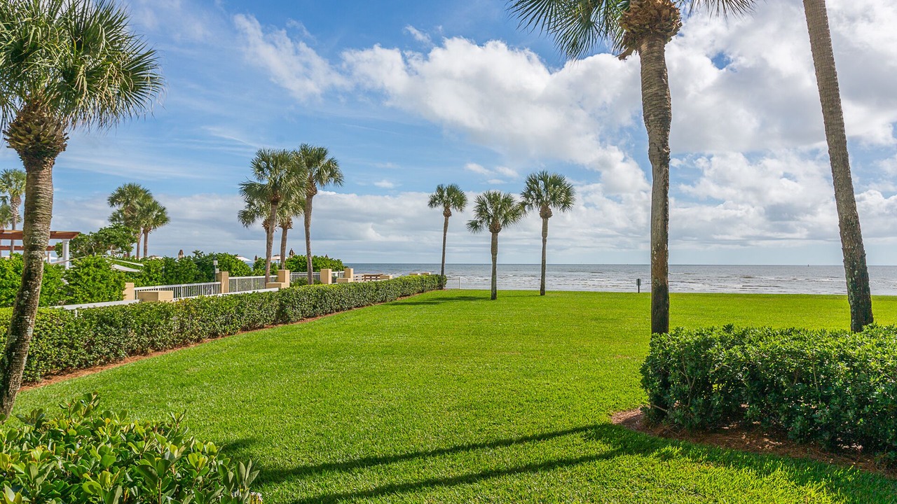 Photo of Others in Saint Simons Island