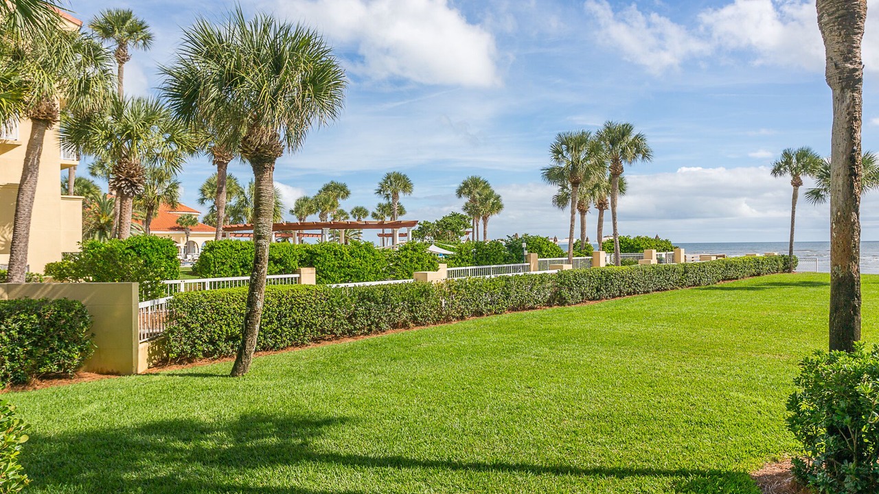 Photo of Others in Saint Simons Island