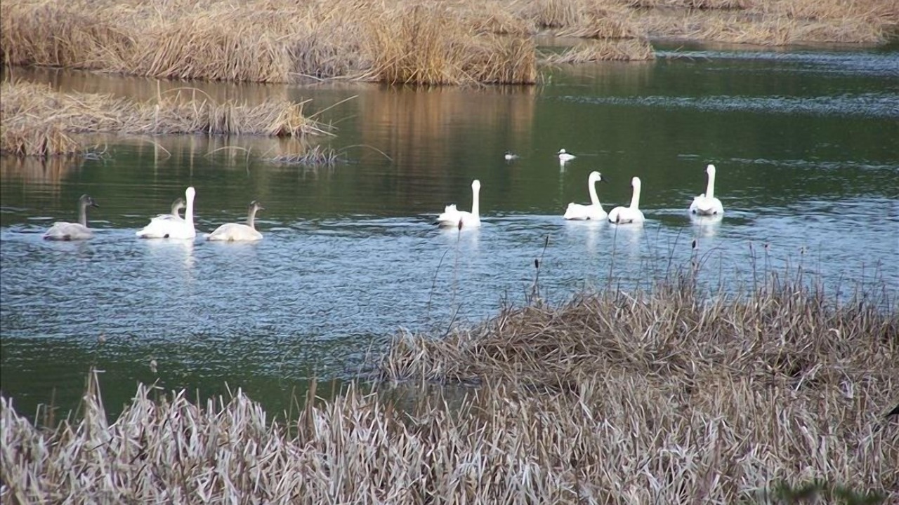 Photo of Others in Deer Harbor