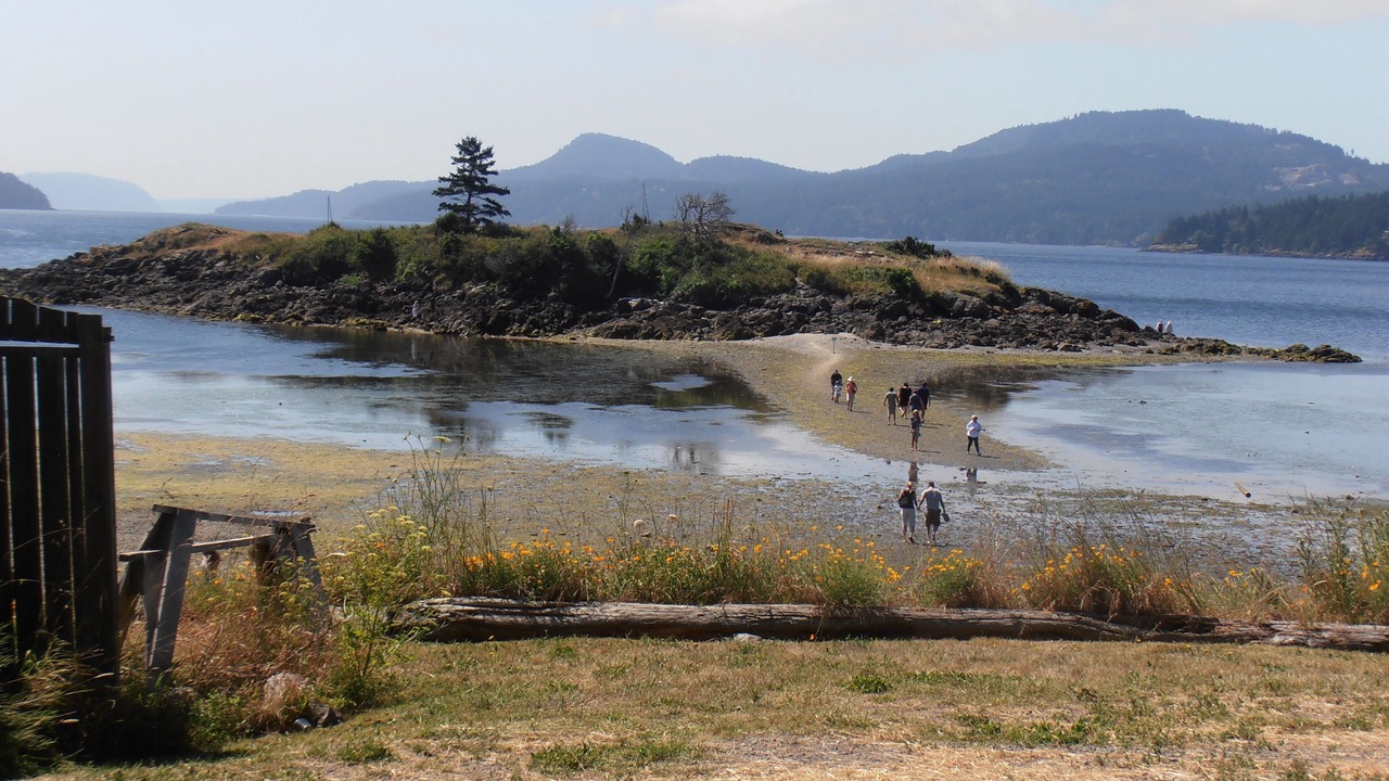 Photo of Others in Deer Harbor