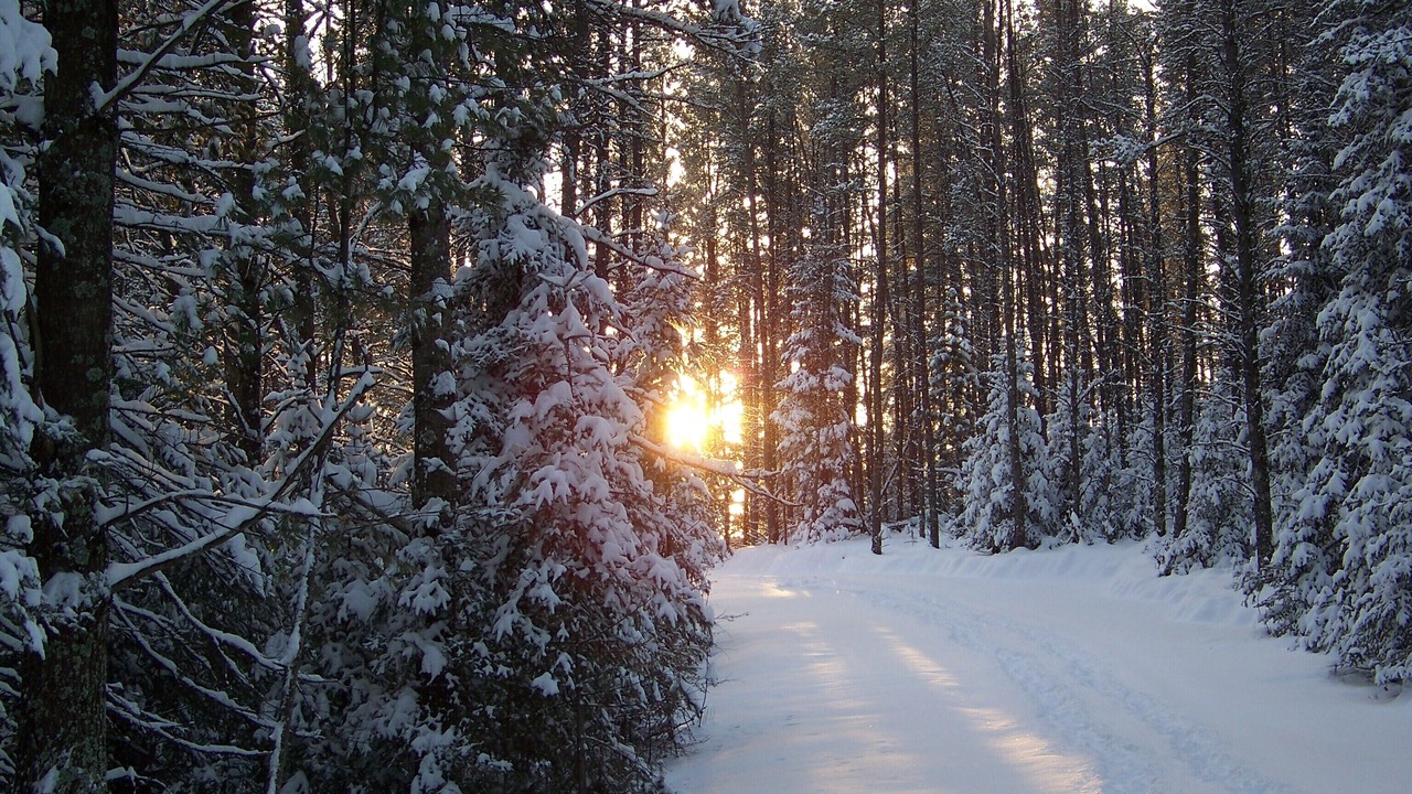 Photo of Others in Puposky