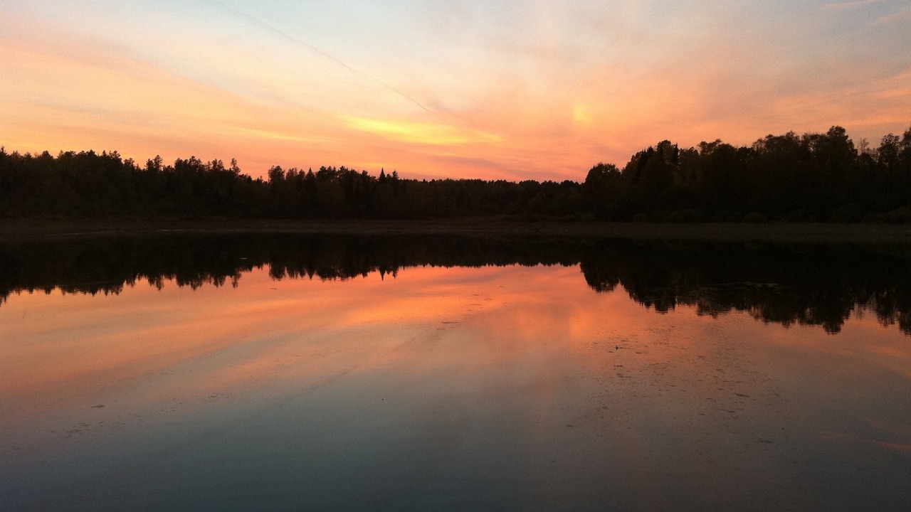 Photo of Others in Puposky