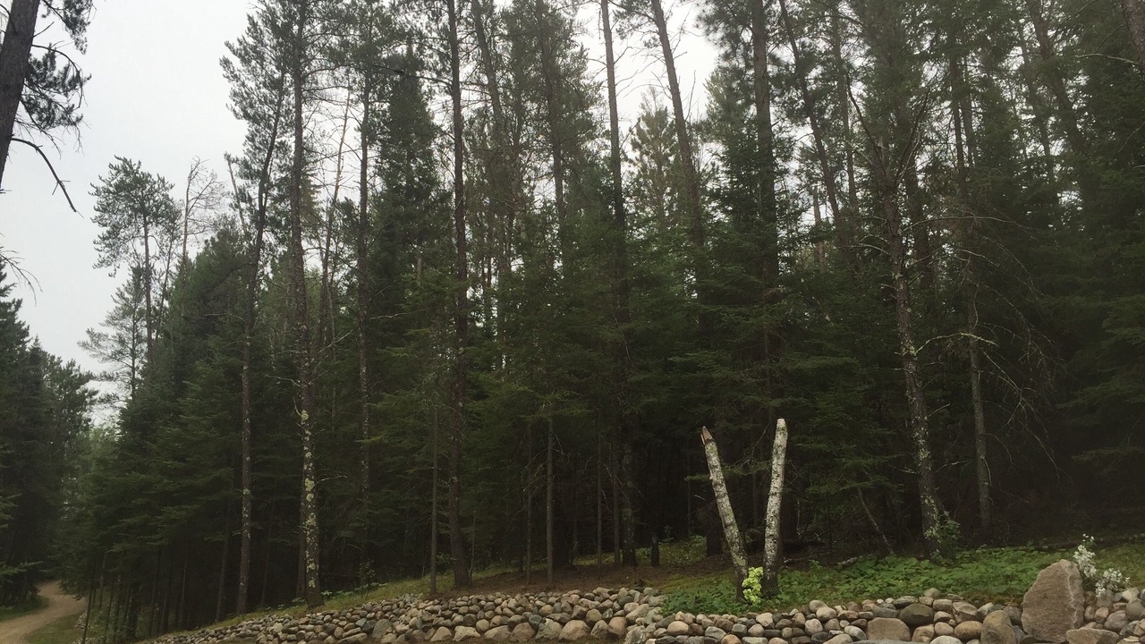 Photo of Outdoor in Puposky