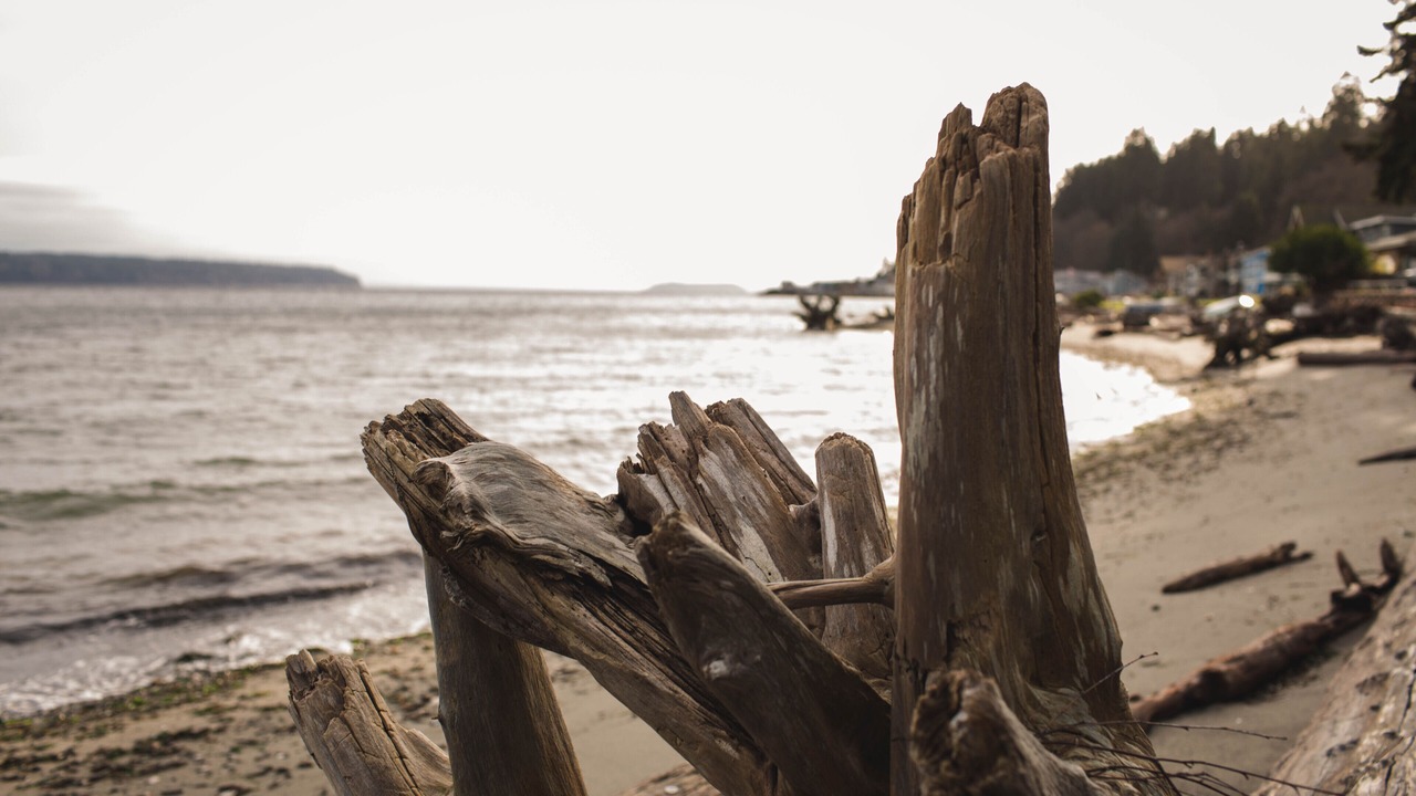 Photo of Others in Bells Beach
