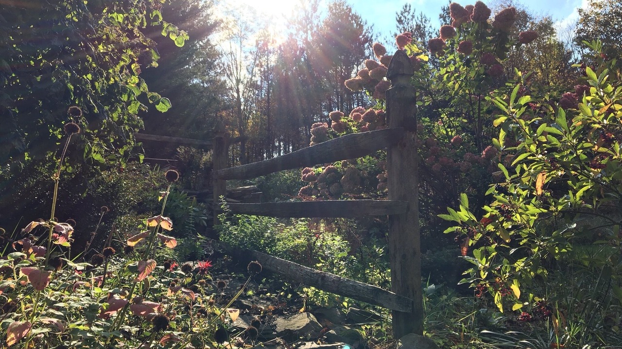 Photo of Outdoor in Altmar