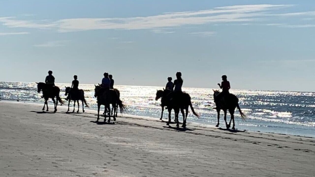 Photo of Others in Seabrook Island