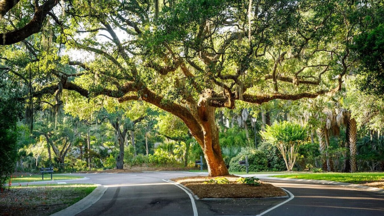 Photo of Others in Seabrook Island