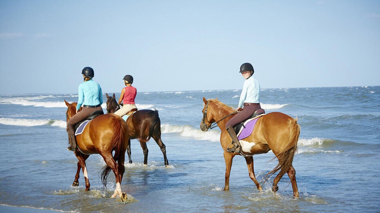 Photo of Others in Seabrook Island