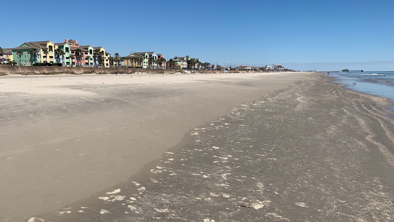 Photo of Others in Galveston