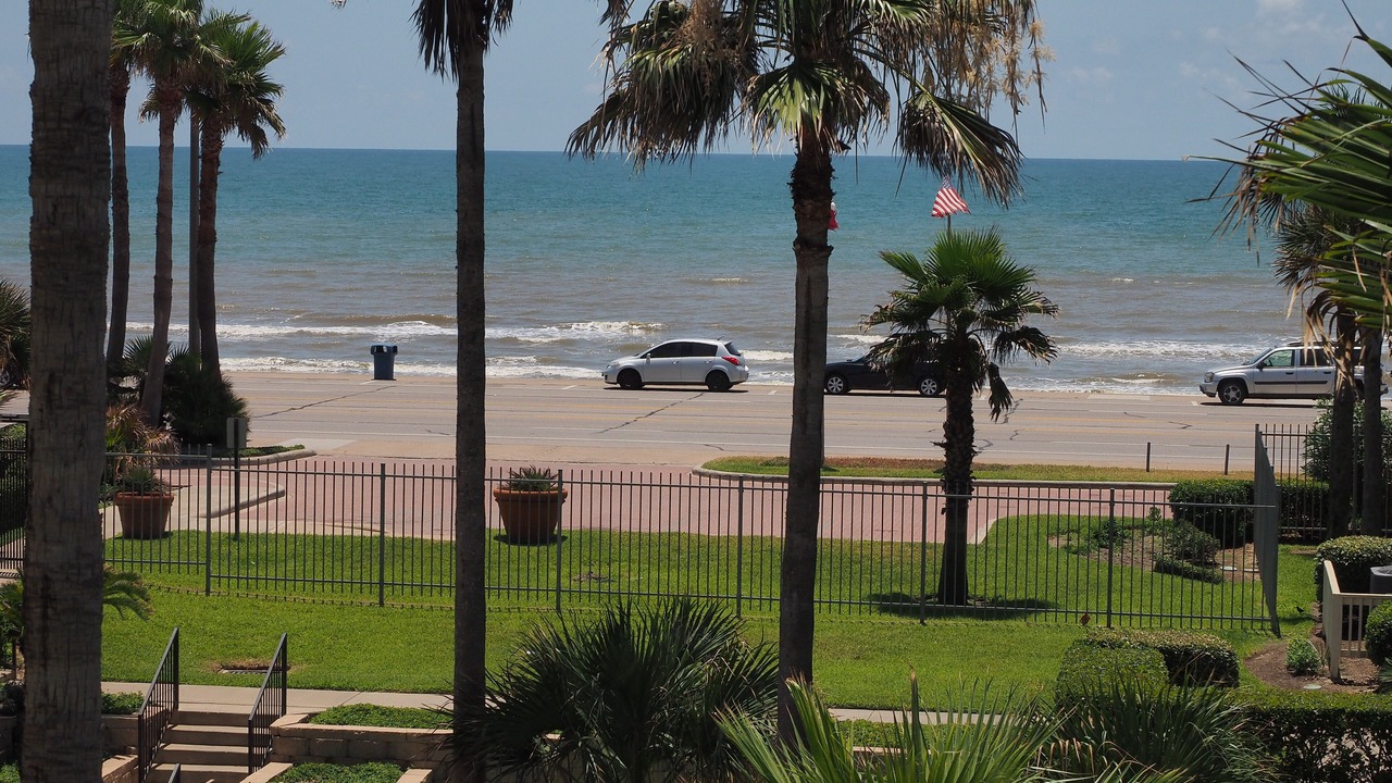 Photo of Others in Galveston