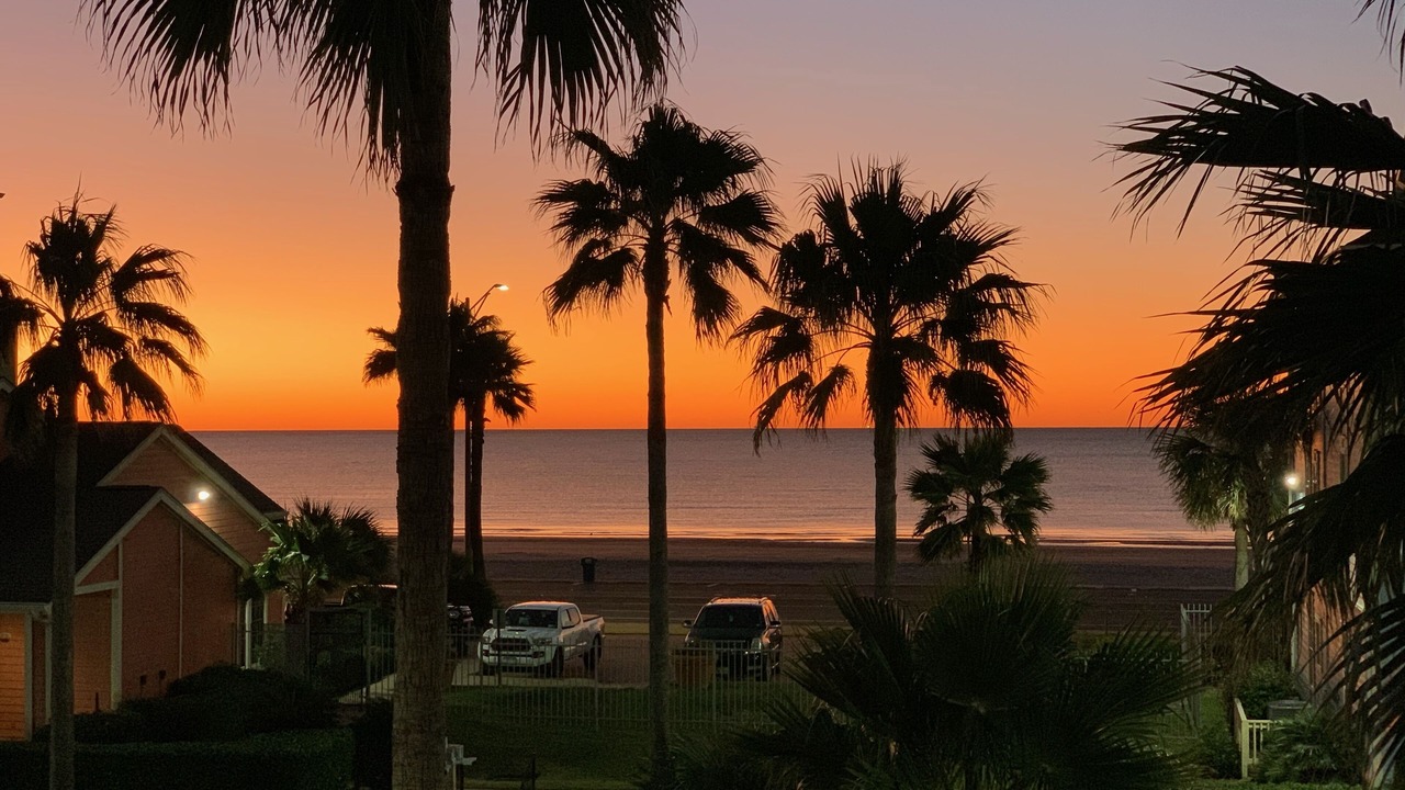 Photo of Others in Galveston
