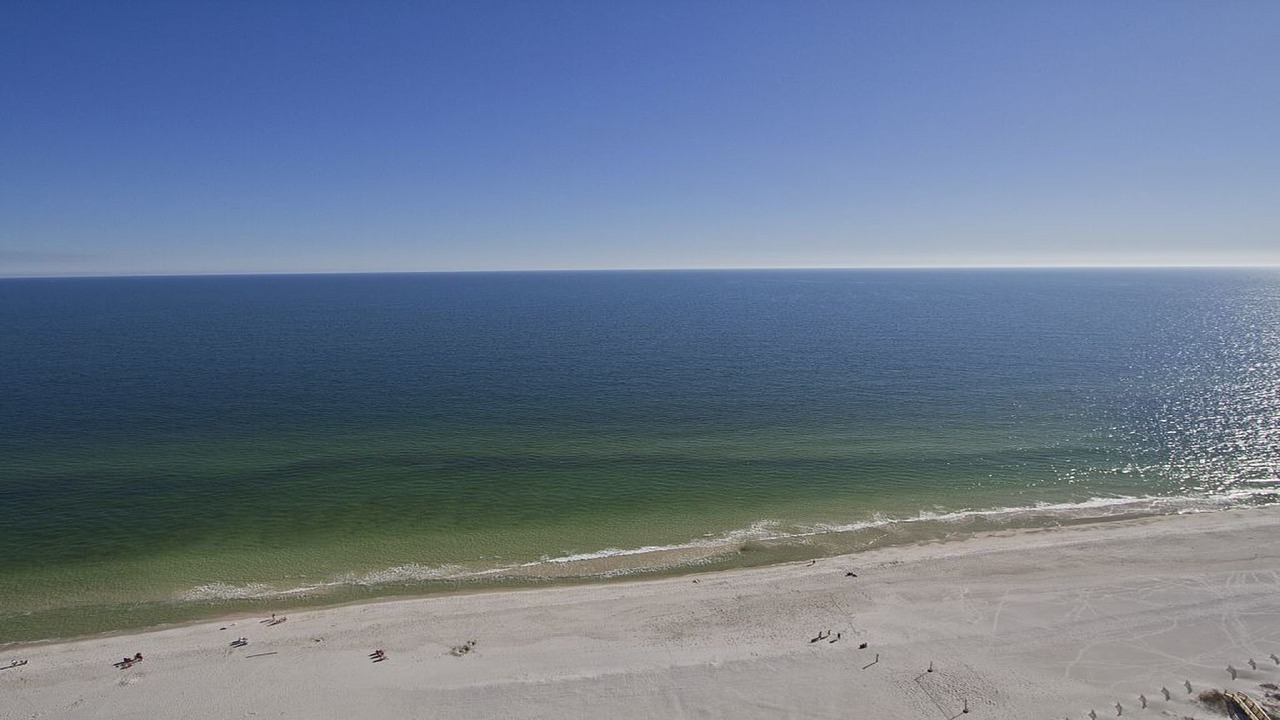 Photo of Others in Orange Beach