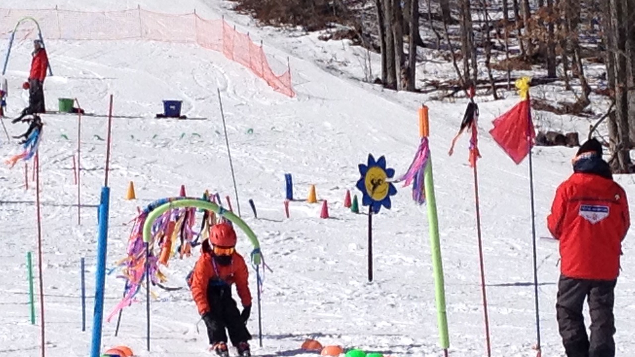 Photo of Others in Boyne Falls