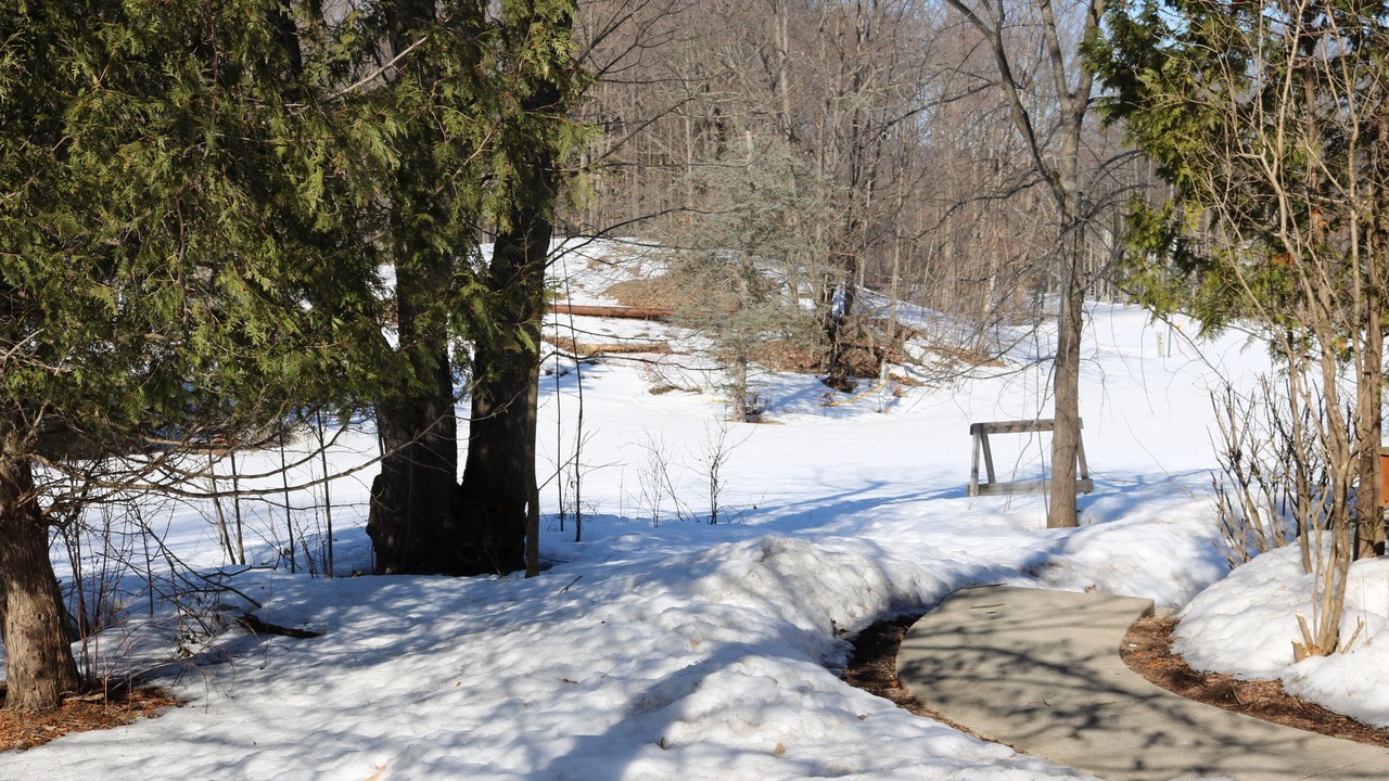Photo of Others in Boyne Falls