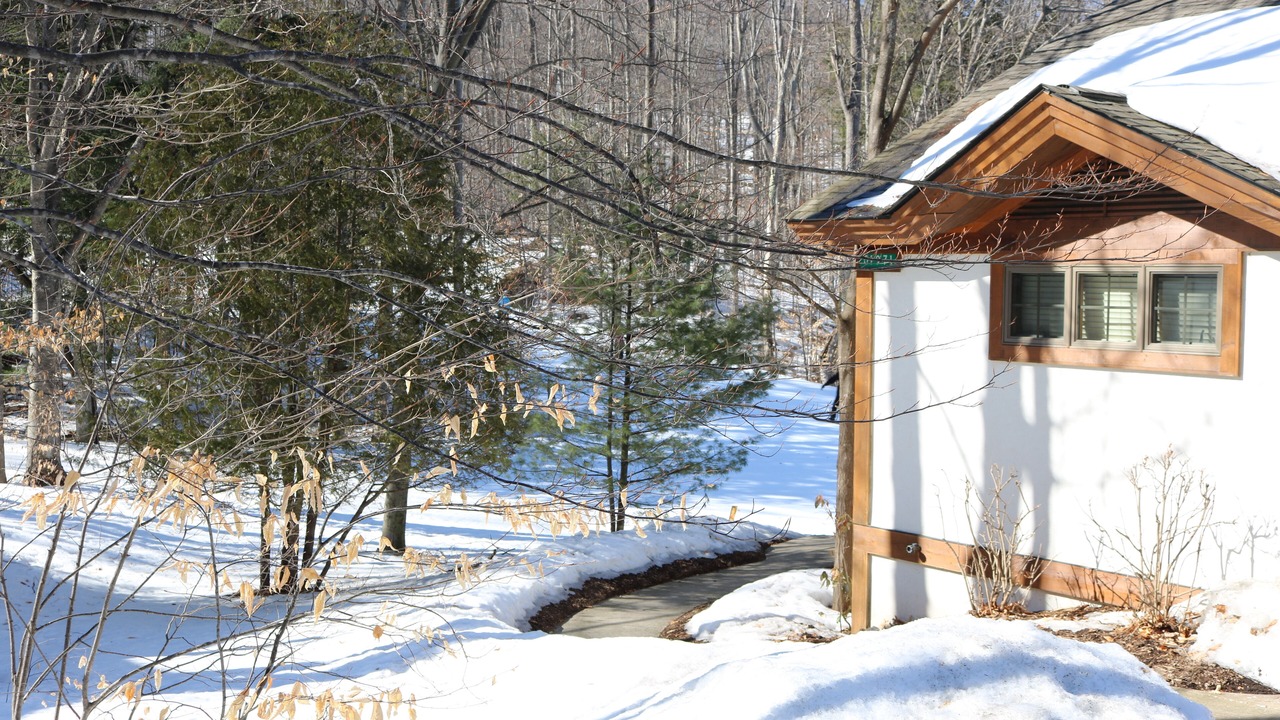 Photo of Outdoor in Boyne Falls