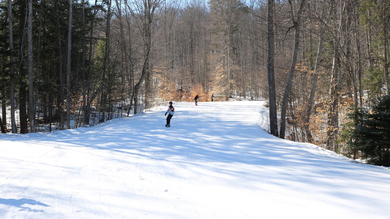 Photo of Others in Boyne Falls