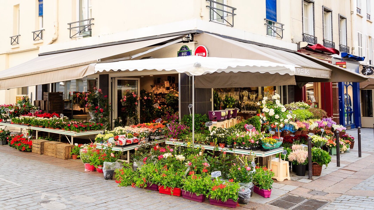 Photo of Others in Faubourg Saint-Germain