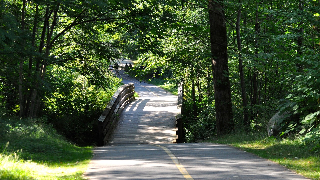 Photo of Others in Port Moody