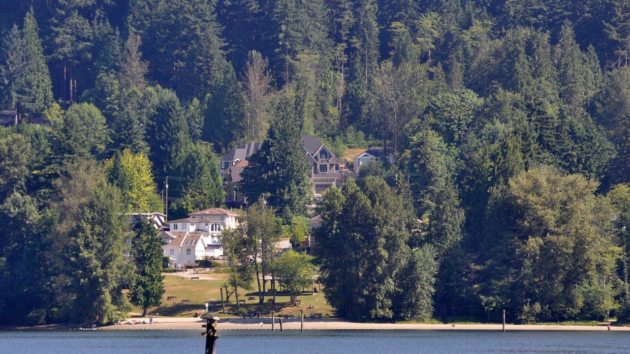 Photo of Others in Port Moody