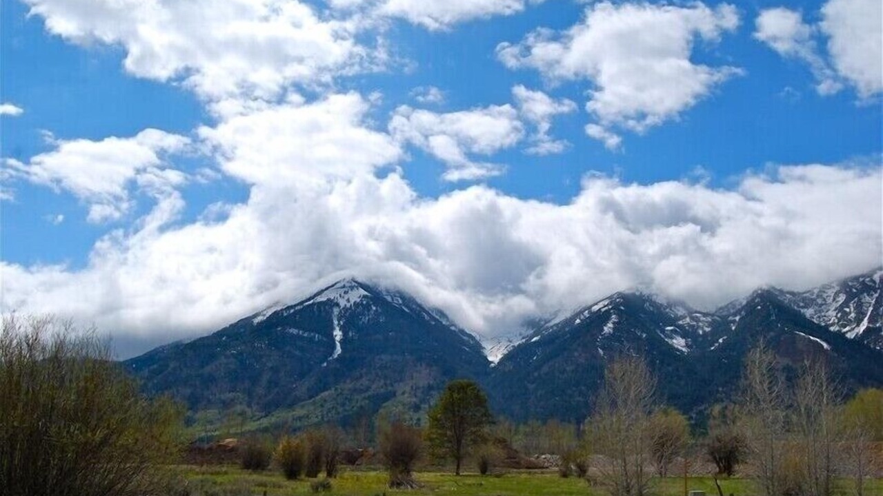Photo of Others in Alpine Northeast