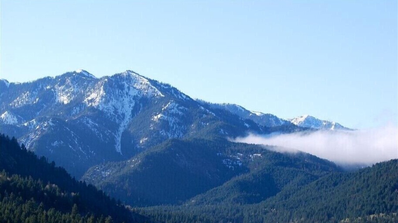 Photo of Others in Alpine Northeast