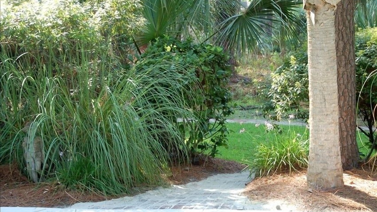 Photo of Outdoor in South Beach