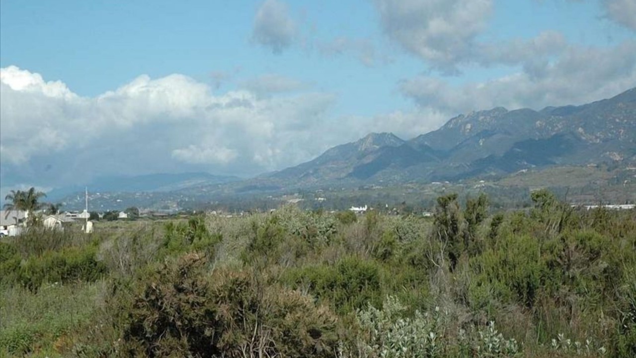 Photo of Others in Carpinteria