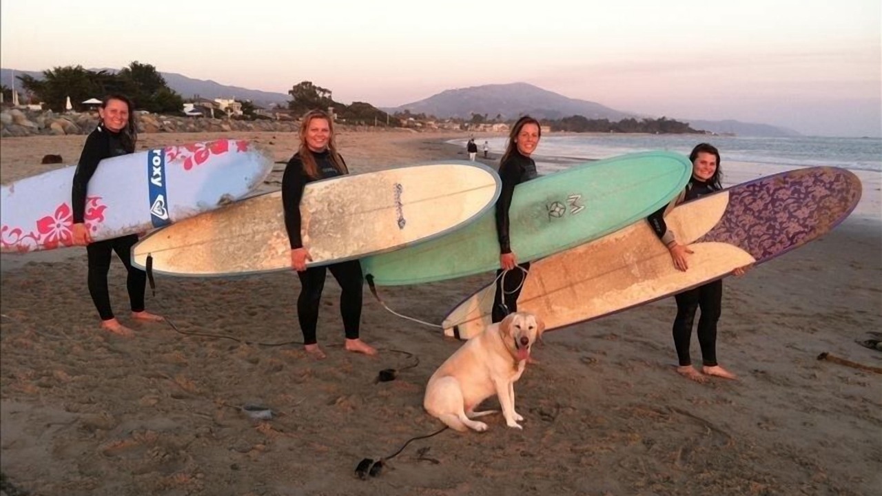 Photo of Others in Carpinteria