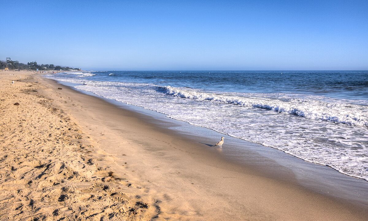 Photo of Others in Carpinteria