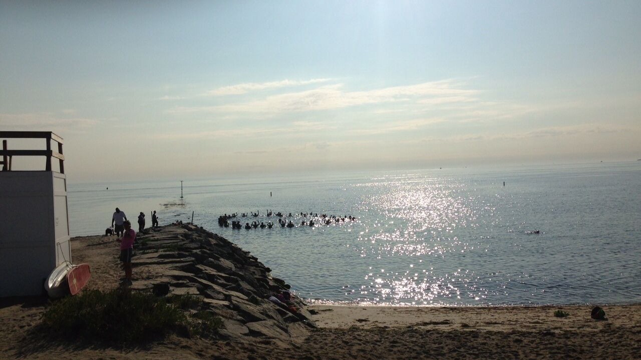 Photo of Others in Oak Bluffs