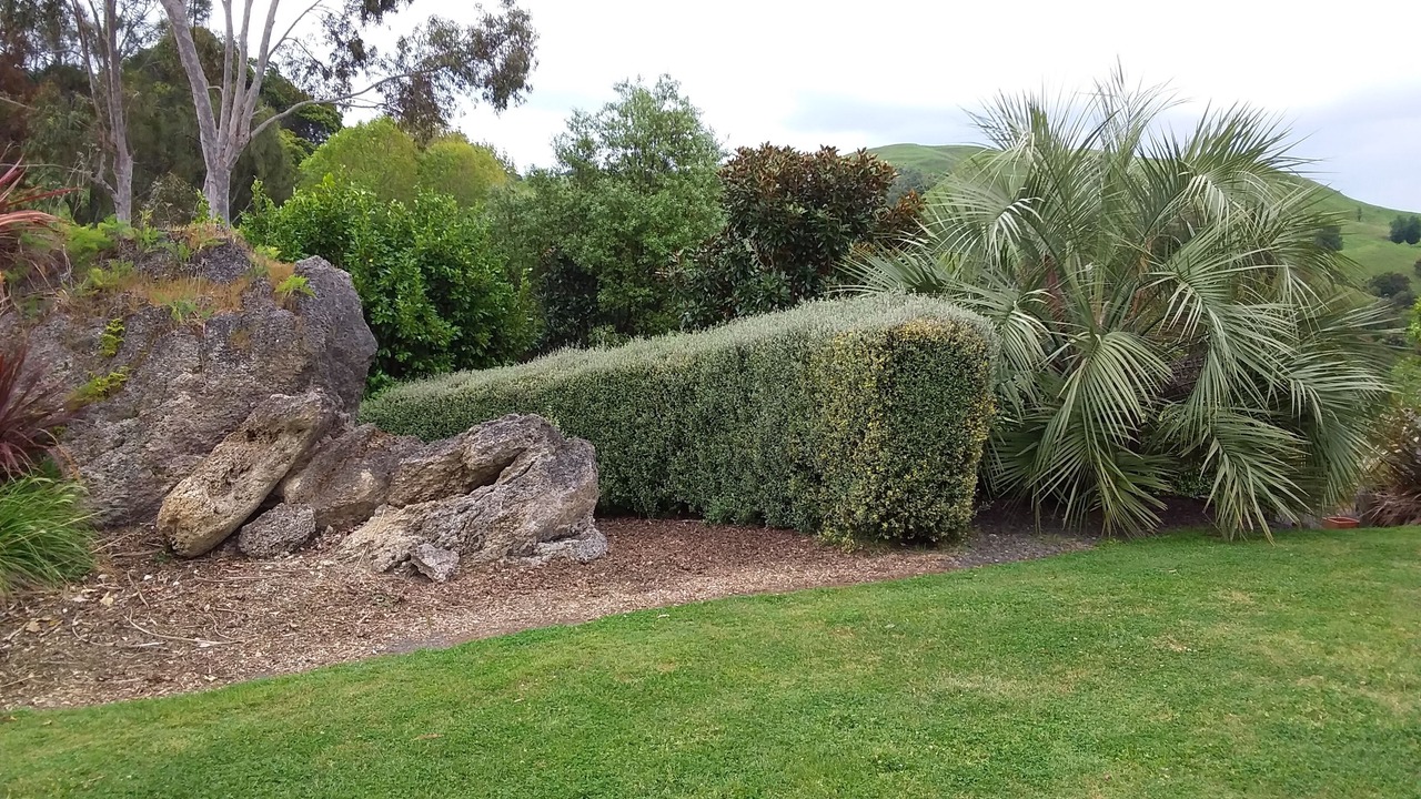 Photo of Others in Puketapu