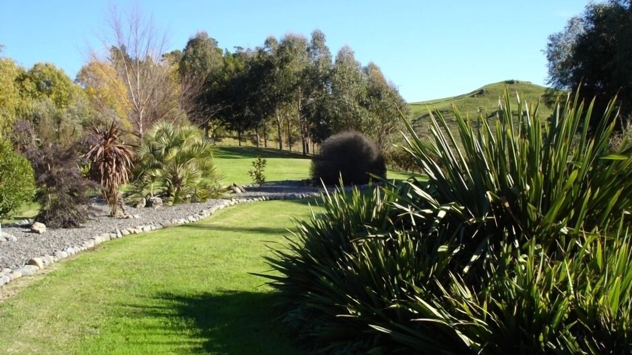 Photo of Outdoor in Puketapu