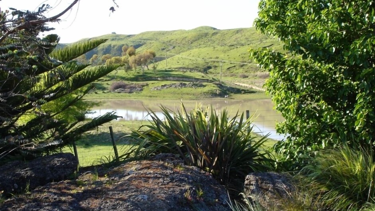 Photo of Others in Puketapu