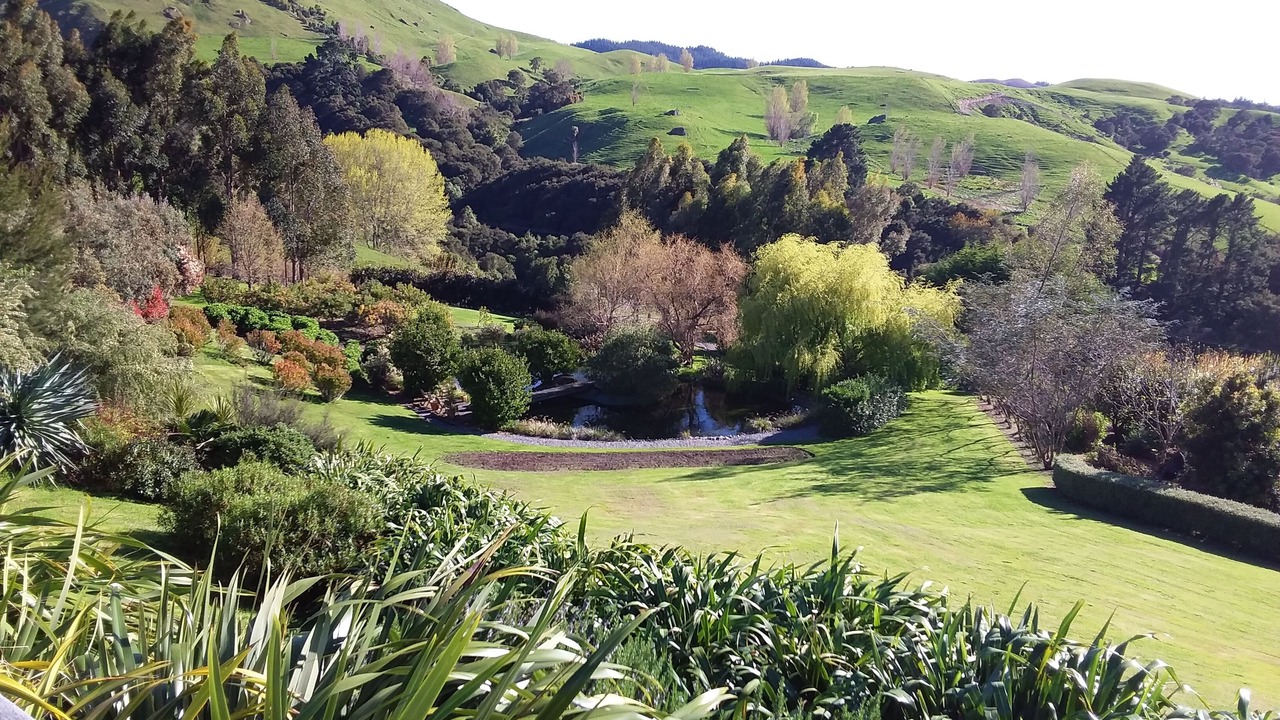 Photo of Others in Puketapu