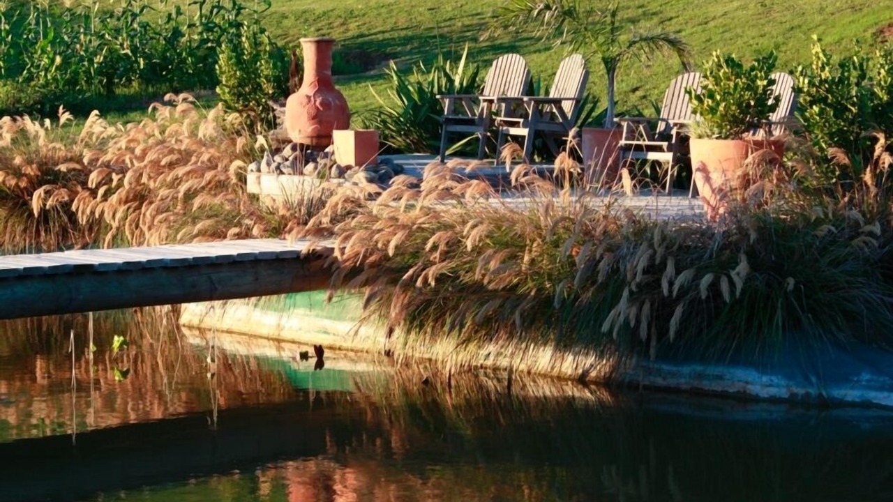Photo of Others in Puketapu