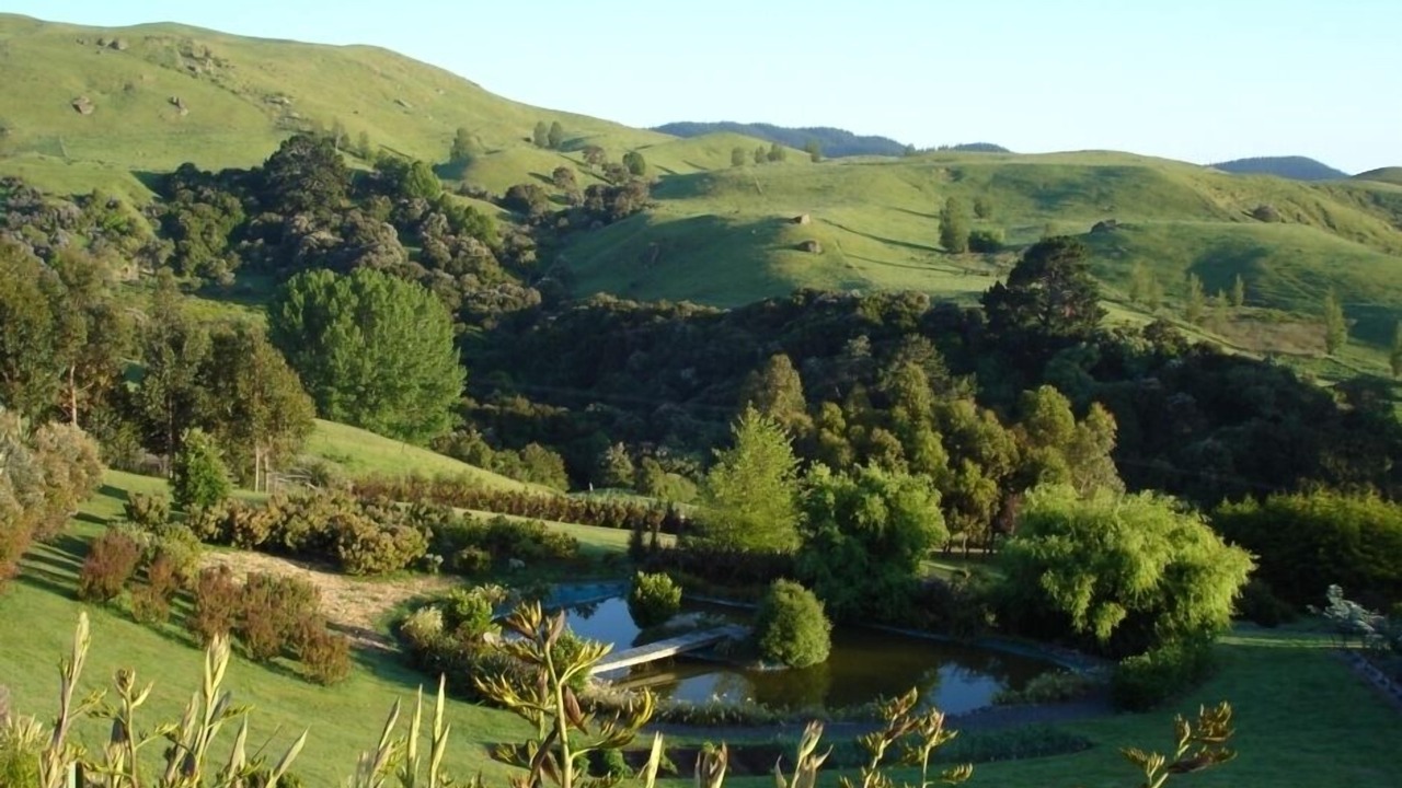 Photo of Others in Puketapu