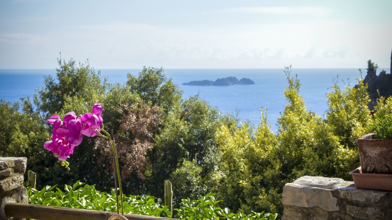 Photo of Outdoor in Positano
