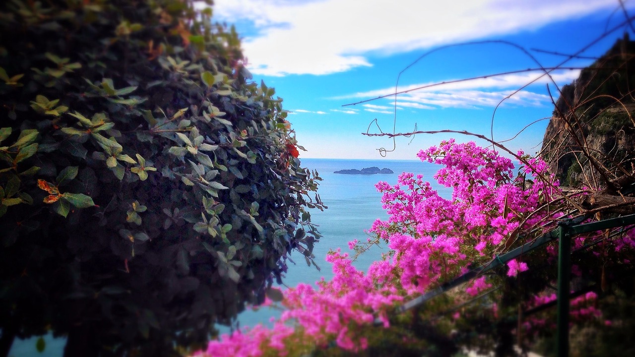 Photo of Others in Positano