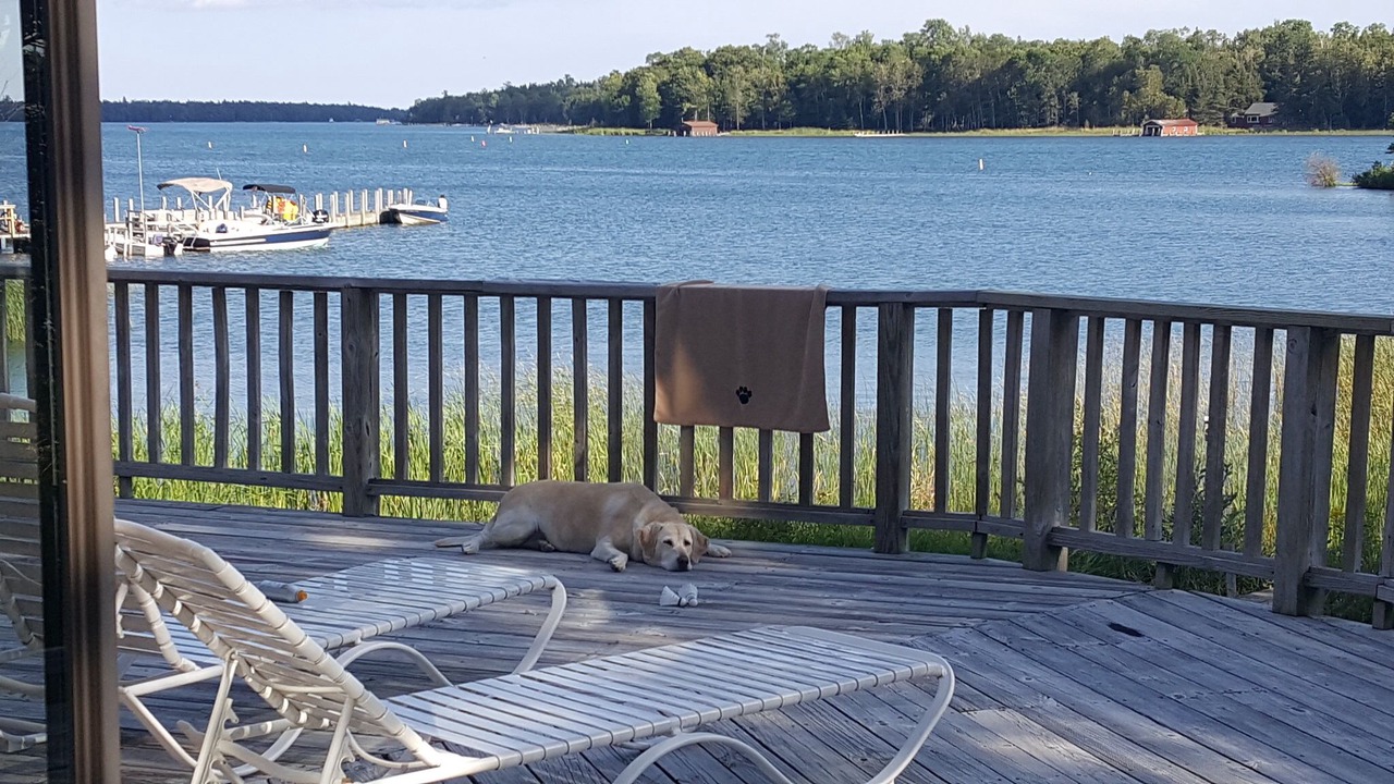 Photo of Outdoor in Cedarville