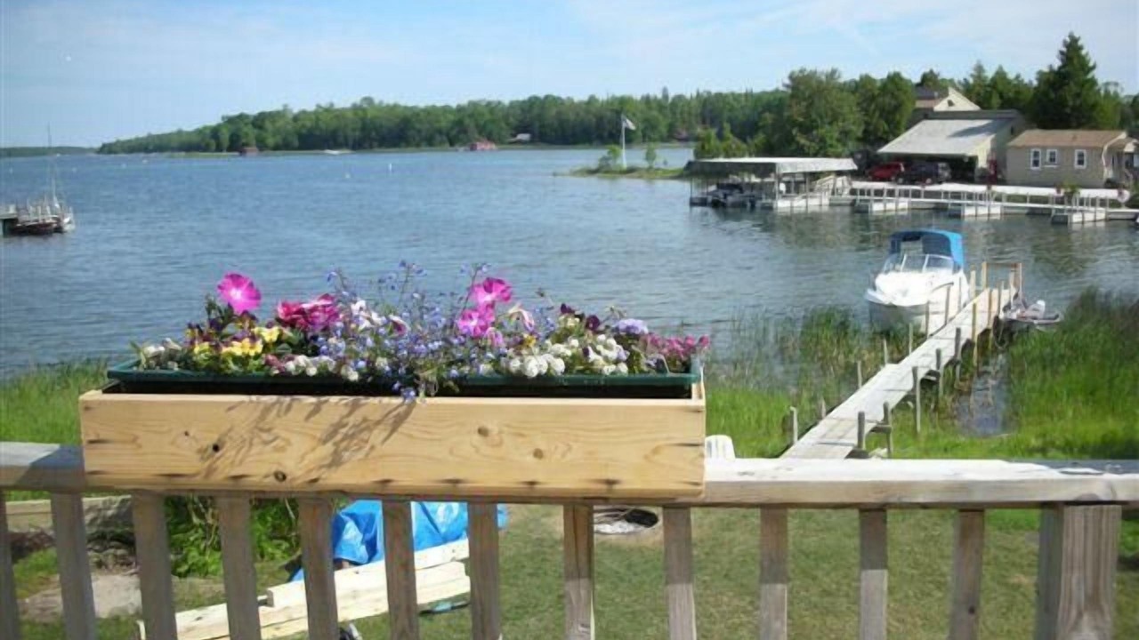 Photo of Outdoor in Cedarville