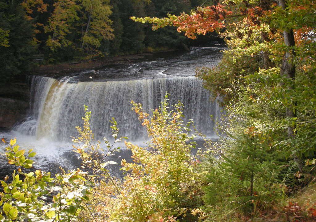 Photo of Others in Cedarville
