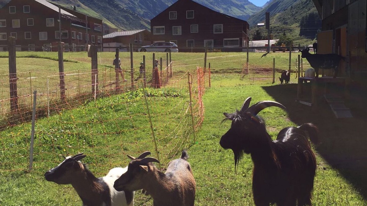 Photo of Others in Andermatt
