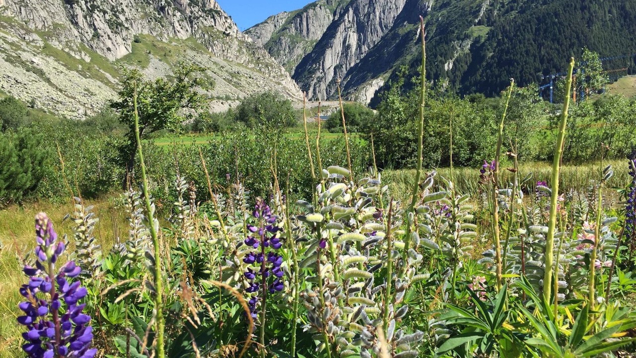 Photo of Outdoor in Andermatt