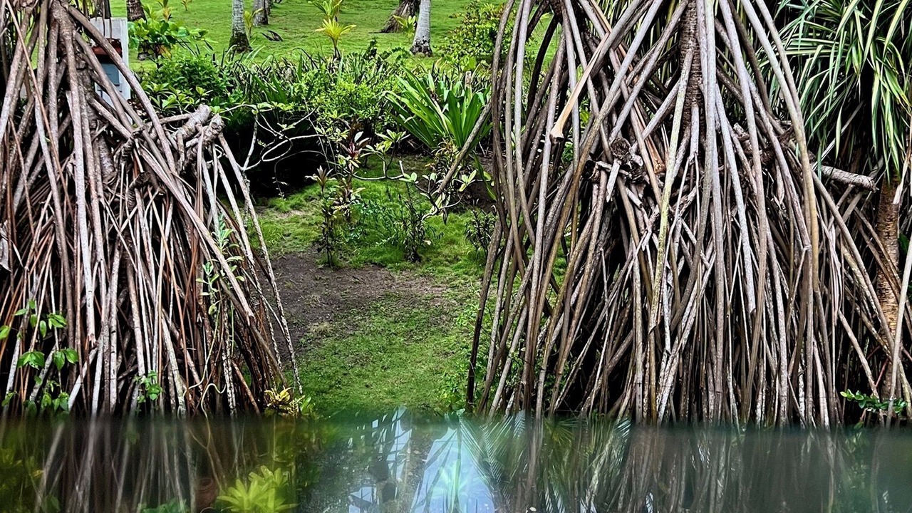 Photo of Outdoor in Esterillos Oeste