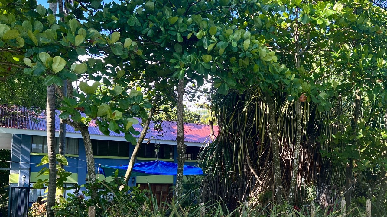 Photo of Outdoor in Esterillos Oeste