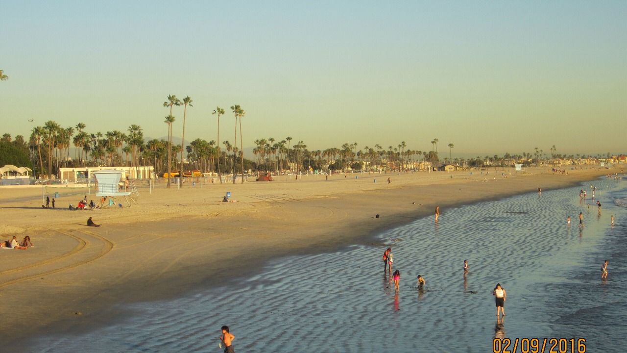 Photo of Others in Belmont Shore