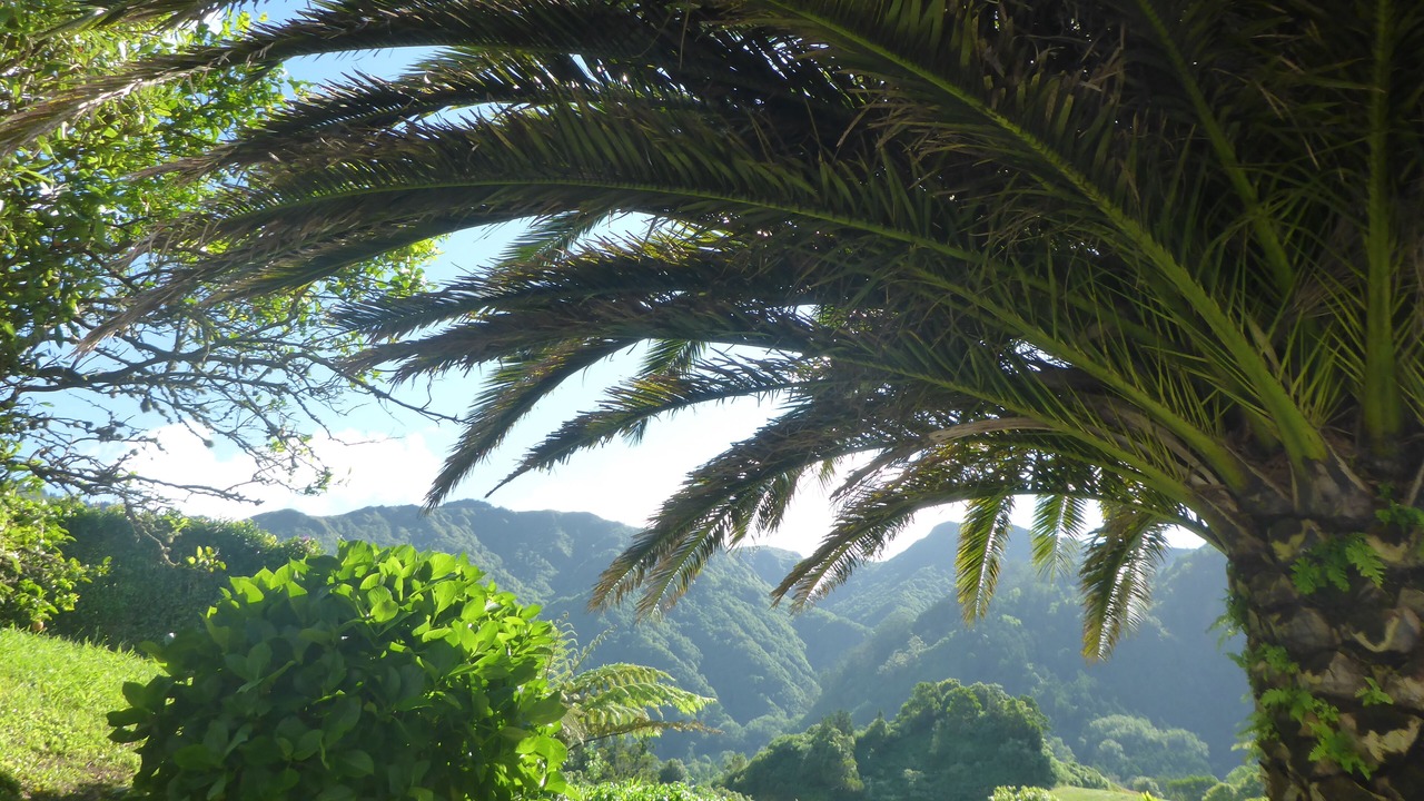 Photo of Outdoor in Furnas